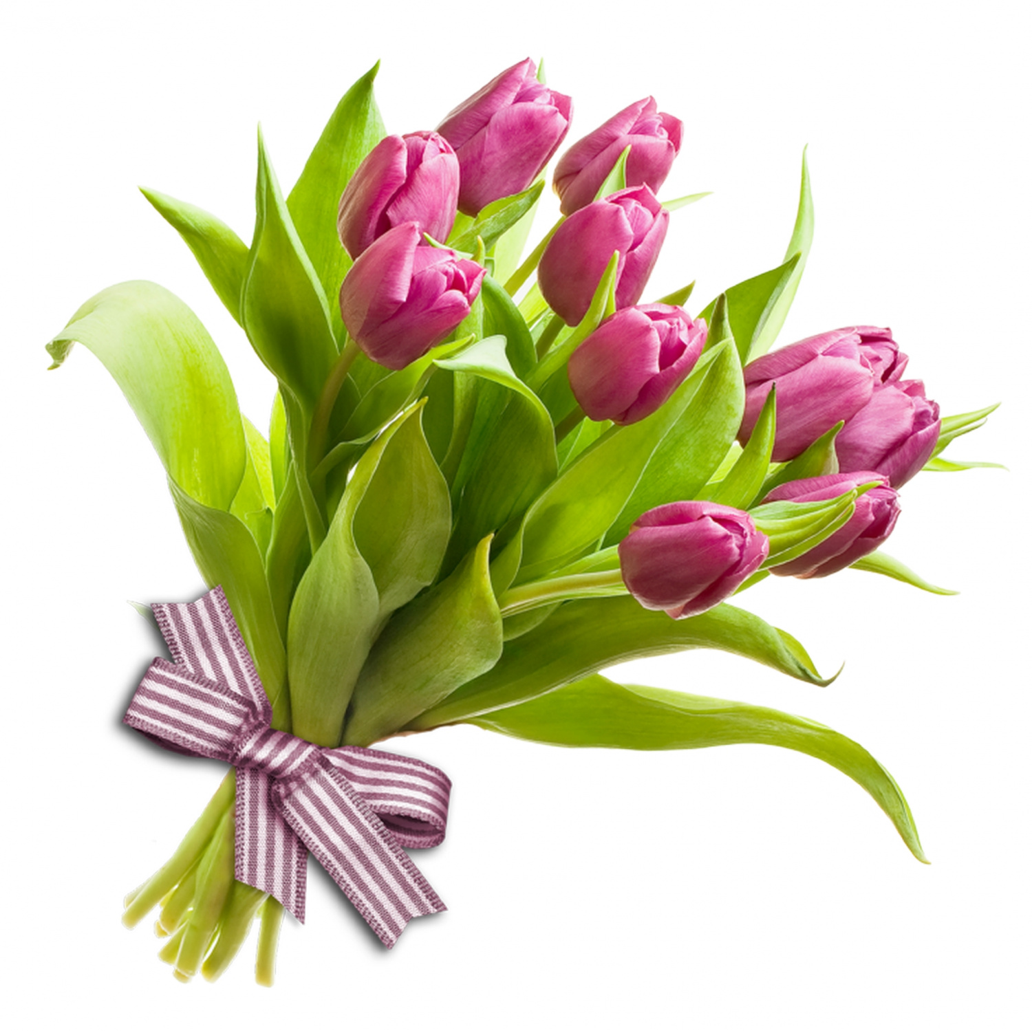 С 8 марта! С 8 марта!