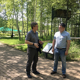 Пушисто-пятнистая новость