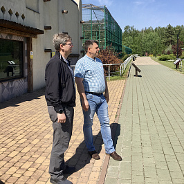 Пушисто-пятнистая новость